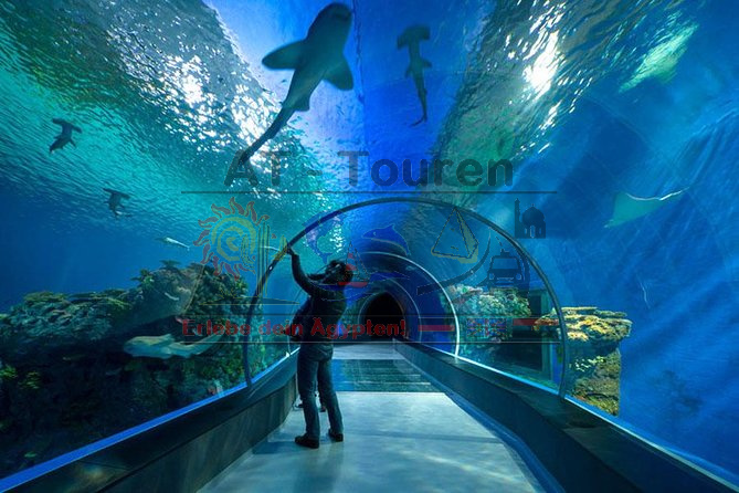 Grand Aquarium Hurghada - AT-Touren 